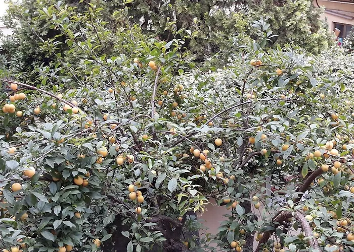 Ginori Al Duomo - Dbe Отель 4*